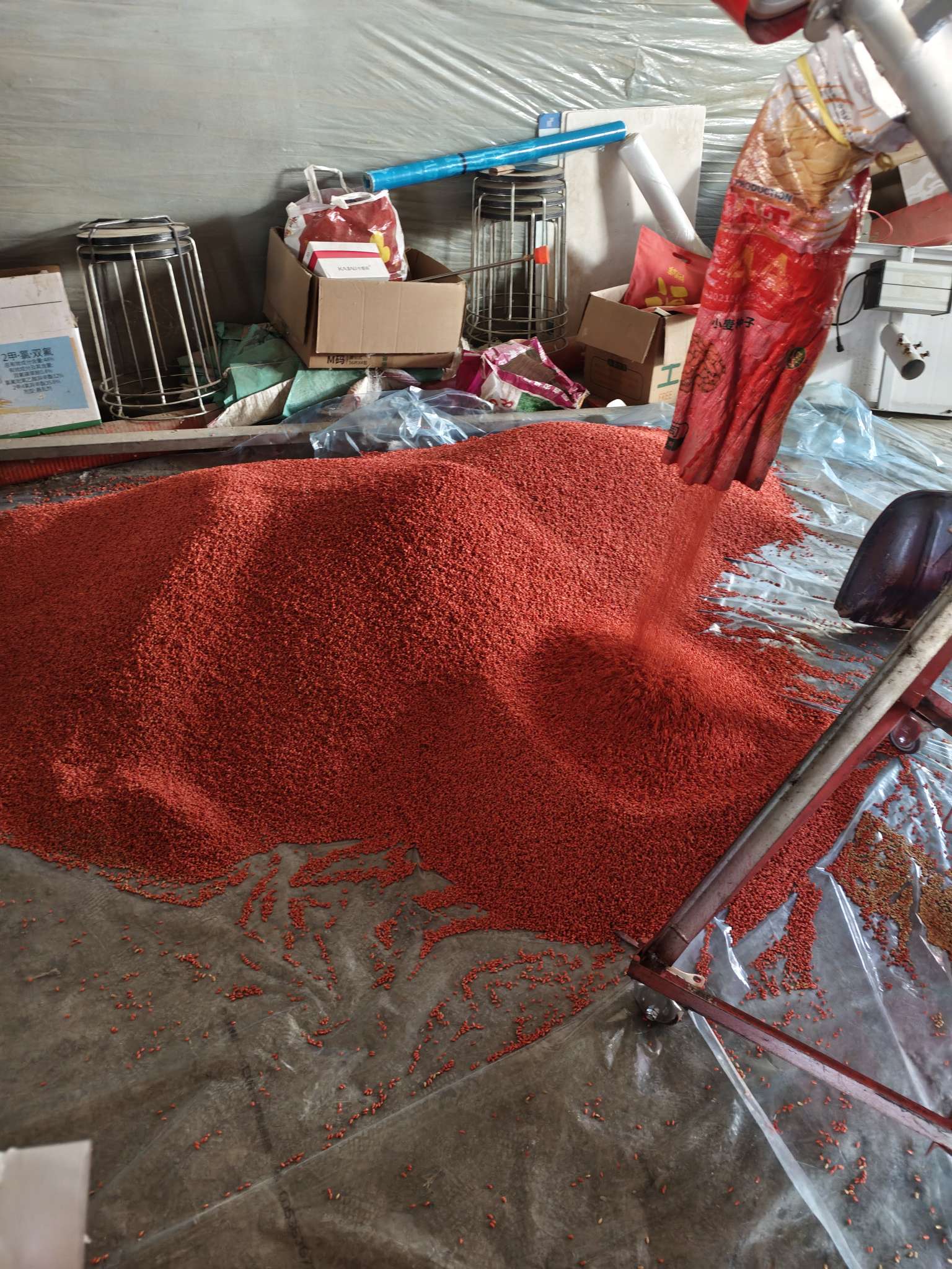 四冠包衣拌种，防虫防病壮苗增产。