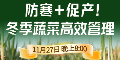 《细说农技》专家张宝林教冬季蔬菜防寒 + 促产高效管理，27 日晚 8 点！