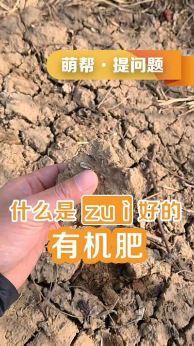 什么是最好的有机肥