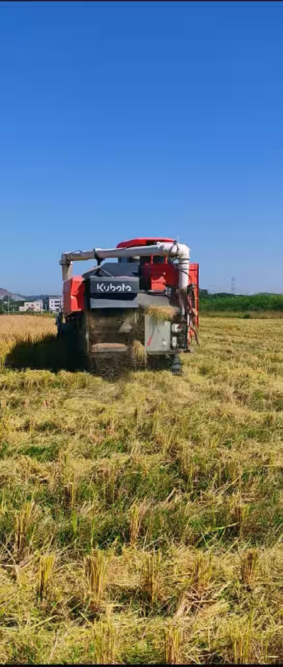 惠州基地，无人拖拉机收水稻了。