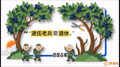 第7节：修剪决定产量（下）&mdash;&mdash;结果树的更新与疏果，课程：《蓝莓&ldquo;高产&rdquo;实战课：从选苗到丰收的10个关键点》