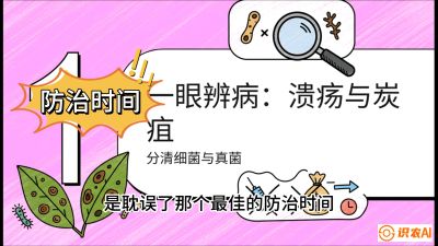 第三节：细菌与真菌&mdash;&mdash;溃疡病与炭疽病，课程：《柑橘十大病虫害：从入门到精通》
