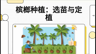第01节：选苗与定植&mdash;&mdash;&ldquo;苗好一半收，底肥定千秋&rdquo;课程：《槟榔种植：从不懂到精通的10堂必修课》