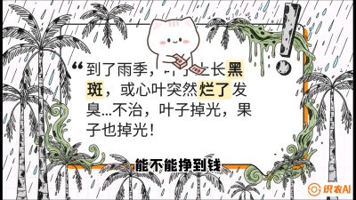 第05节：常见真菌病害&mdash;&mdash;&ldquo;炭疽与烂心，早防值千金&rdquo;《槟榔种植：从不懂到精通的10堂必修课》