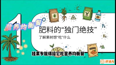第07节：科学施肥&mdash;&mdash;&ldquo;氮磷钾配好，树壮果不倒