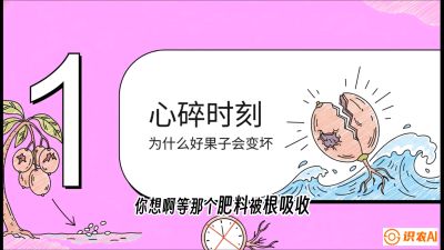 第08节：微量元素与保果&mdash;&mdash;&ldquo;补硼又补钙，果子不裂坏&rdquo;《槟榔种植：从不懂到精通的10堂必修课》