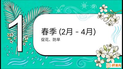 第10节：周年农事日历&mdash;&mdash;&ldquo;跟着节气走，丰产在手头&rdquo;《槟榔种植：从不懂到精通的10堂必修课》