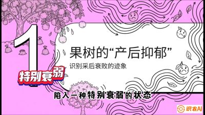第2节：【冬肥策略】采后&ldquo;月子肥&rdquo;：大小年的精准干预术，课程：《柑橘底肥&ldquo;翻身账&rdquo;：从改土到高产的实战全书》