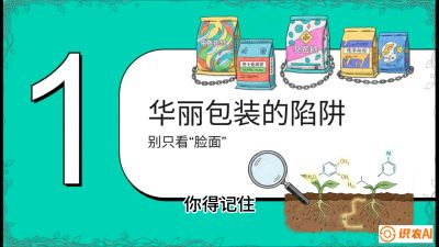 第4节：【黄金配方】底肥里的&ldquo;铁三角&rdquo;与&ldquo;微量雷区&rdquo;课程：《柑橘底肥&ldquo;翻身账&rdquo;：从改土到高产的实战全书》