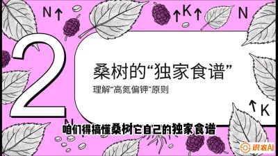 第04节：地下核动力&mdash;&mdash;桑树专用水肥一体化配方，课程：《桑海淘金：桑树高产与蚕桑安全进阶实战课》