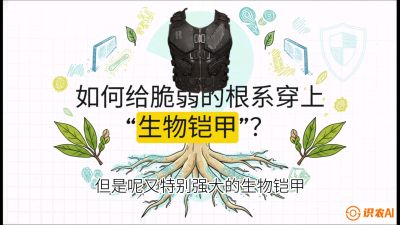 第三节：国产榴莲突围战：根系堡垒，菌根微生态构建与黄金定植窗口，课程：《国产榴莲突围战：从泰国经验到中国实操的8堂必修课（高阶实战版）》