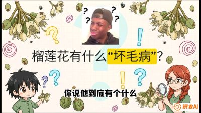 第六节：榴莲的午夜战事，夜间授粉战与花果期避雨策略，课程：《国产榴莲突围战：从泰国经验到中国实操的8堂必修课（高阶实战版）》