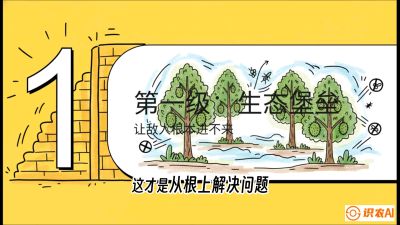 第七节：榴莲防御战：病虫害三级立体防控，疫霉菌与虫害的立体封锁线，课程：《国产榴莲突围战：从泰国经验到中国实操的8堂必修课（高阶实战版）》