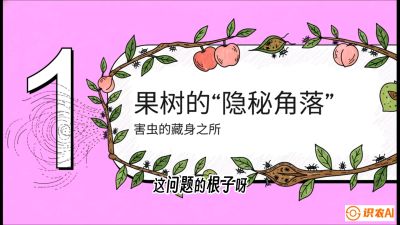 第3节：无人机专治&ldquo;打不透&rdquo;&mdash;&mdash;果树与高杆作物的穿透技巧，课程：《无人机植保搞钱必修课：从&ldquo;瞎飞&rdquo;到&ldquo;懂行&rdquo;的6步进阶》