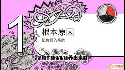 第三节：【爆款单品&middot;加州鲈】从&ldquo;玻璃鱼&rdquo;到&ldquo;摇钱树&rdquo;的通关秘籍，课程：《黄金鳞甲：2025中国淡水鱼高效养殖实战营》