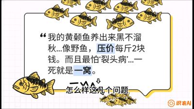 第四节：【黄金单品&middot;黄颡鱼】解决&ldquo;一点红&rdquo;与&ldquo;香蕉色&rdquo;的悖论，课程：《黄金鳞甲：2025中国淡水鱼高效养殖实战营》