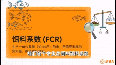 第五节：【高端单品&middot;鳜鱼】&ldquo;饲料鳜&rdquo;技术：打破吃活饵的高成本魔咒，课程：《黄金鳞甲：2025中国淡水鱼高效养殖实战营》