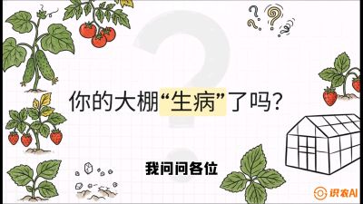 第2节（解毒篇）： 大棚里的&ldquo;红白绿&rdquo;警报&mdash;&mdash;读懂土壤盐渍化的求救信号，课程：《揭秘土壤的秘密：让土地帮你赚钱》#识农AI