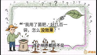 第4节（活化篇）： 土壤里的&ldquo;雇佣兵&rdquo;&mdash;&mdash;如何用菌剂以小博大，解决死棵难题，课程：《揭秘土壤的秘密：让土地帮你赚钱》#识农AI