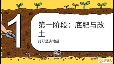 第6节（统筹篇）： 省钱又增产的&ldquo;黄金配比&rdquo;&mdash;&mdash;不同作物全年的养土实操方案，课程：《揭秘土壤的秘密：让土地帮你赚钱》#识农AI