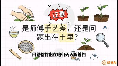 第02节（土肥篇）：告别&ldquo;苦涩水味&rdquo;：揭秘&ldquo;碳氮比&rdquo;调控术，种出自带兰花香的好茶底，课程：《茶金时代：从&ldquo;看天吃饭&rdquo;到&ldquo;精准控局&rdquo;的茶叶高产提质实战课》