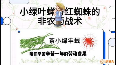 第03节（虫害篇）：看不见的吸血鬼：小绿叶蝉与红蜘蛛的&ldquo;非农药&rdquo;团灭战术（抗性治理），课程：《茶金时代：从&ldquo;看天吃饭&rdquo;到&ldquo;精准控局&rdquo;的茶叶高产提质实战课》