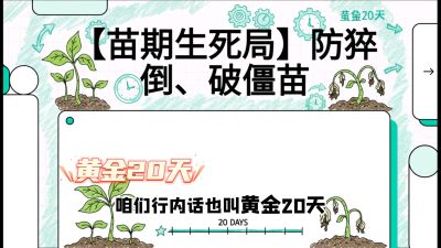 第2节：【苗期生死局】防猝倒、破僵苗，决定后期产量的&ldquo;黄金20天&rdquo;，课程：《辣椒种植实战特训营，从工业辣椒到精品小米辣，教你如何把&ldquo;草&rdquo;种成&ldquo;金&rdquo;》
