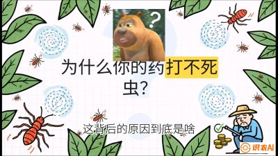 第4节：【虫害歼灭战】打不死的蓟马、隐形的茶黄螨：抗性时代的&ldquo;混配绝杀&rdquo;，课程：《辣椒种植实战特训营，从工业辣椒到精品小米辣，教你如何把&ldquo;草&rdquo;种成&ldquo;金&rdquo;》