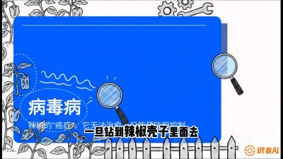 第5节：【病毒病阻击】辣椒的&ldquo;癌症&rdquo;怎么治？从&ldquo;绝收恐慌&rdquo;到&ldquo;带毒生产&rdquo;的逆转术，课程：《辣椒种植实战特训营，从工业辣椒到精品小米辣，教你如何把&ldquo;草&rdquo;种成&ldquo;金&rdquo;》