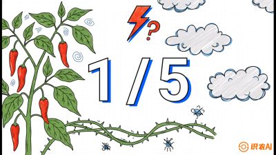 第6节：【花果爆发术】落花落果的五大元凶，与&ldquo;三喷一保&rdquo;坐果黑科技，课程：《辣椒种植实战特训营，从工业辣椒到精品小米辣，教你如何把&ldquo;草&rdquo;种成&ldquo;金&rdquo;》