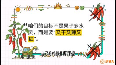 第7节：【工业辣椒专场】追求极致辣度！干物质提升与机械化采收的&ldquo;催红秘籍&rdquo;，课程：《辣椒种植实战特训营，从工业辣椒到精品小米辣，教你如何把&ldquo;草&rdquo;种成&ldquo;金&rdquo;》
