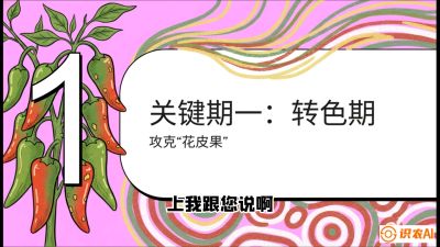 第8节：【小米辣线椒专场】颜值即正义！防花皮、防炭疽，打造收购商抢着要的&ldquo;精品果&rdquo;，课程：《辣椒种植实战特训营，从工业辣椒到精品小米辣，教你如何把&ldquo;草&rdquo;种成&ldquo;金&rdquo;》