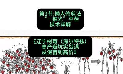 第三节： 懒人修剪法&mdash;&mdash;&ldquo;一推光&rdquo;平茬技术详解，课程：《辽宁树莓（海尔特兹）高产避坑实战课：从保苗到高价》