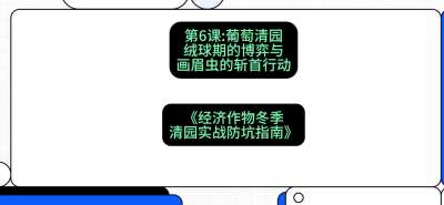 第6节：【葡萄清园】绒球期的博弈与画眉虫的&ldquo;斩首行动&rdquo;，课程：《经济作物冬季清园&middot;实战防坑指南》#识农AI