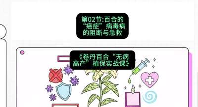 第02节：百合的&ldquo;癌症&rdquo;&mdash;&mdash;病毒病的阻断与急救，课程：《卷丹百合&ldquo;无病高产&rdquo;植保实战课》#识农AI