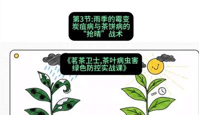 第03节：雨季的霉变&mdash;&mdash;炭疽病与茶饼病的&ldquo;抢晴&rdquo;战术，课程：《茗茶卫士&mdash;&mdash;茶叶病虫害绿色防控实战课》#识农AI