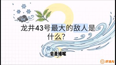 第04节：龙井双璧&mdash;&mdash;龙井43与群体种的差异化护养（重点），课程：《茗茶卫士&mdash;&mdash;茶叶病虫害绿色防控实战课》#识农AI