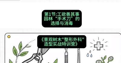 第01节：工欲善其事&mdash;&mdash;园林&ldquo;手术刀&rdquo;的选择与消毒，课程：《景观树木&ldquo;整形外科&rdquo;造型实战特训营》#识农AI