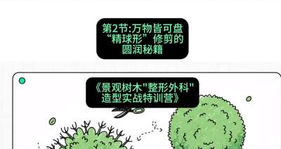 第02节：万物皆可盘&mdash;&mdash;&ldquo;精球形&rdquo;修剪的圆润秘籍，课程：《景观树木&ldquo;整形外科&rdquo;造型实战特训营》#识农AI