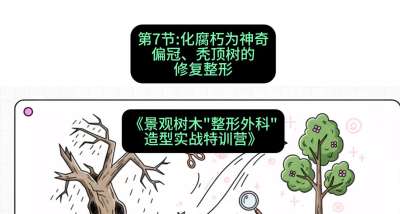 第07节：化腐朽为神奇&mdash;&mdash;偏冠、秃顶树的修复整形，课程：《景观树木&ldquo;整形外科&rdquo;造型实战特训营》#识农AI