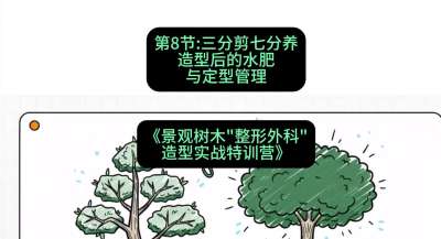 第08节：三分剪七分养&mdash;&mdash;造型后的水肥与定型管理，课程：《景观树木&ldquo;整形外科&rdquo;造型实战特训营》#识农AI