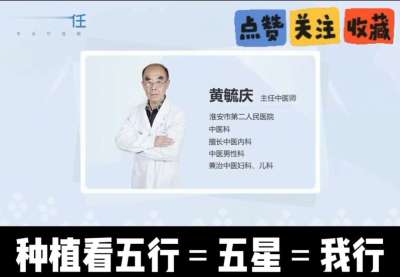 中药材淫羊藿怎么种？听专家一次讲明白！不挑地块好管理，耐寒耐旱省心省力，新手也能轻松上手，药用价值高、市场需求稳，妥妥的增收好品种～ 从生长习性到采收要点，干货满满无废话，种植疑问直接问，一对一答疑解