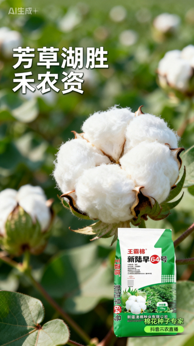 新疆棉花澳棉种业王霸棉，还有其它都好