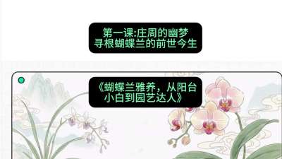 第一节：庄周的幽梦：寻根蝴蝶兰的前世今生，课程：《蝴蝶兰雅养六讲：从阳台小白到园艺达人》#识农AI