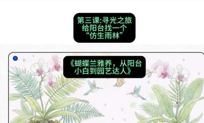 第三节：寻光之旅：给阳台找一个&ldquo;仿生雨林&rdquo;，课程：《蝴蝶兰雅养六讲：从阳台小白到园艺达人》#识农AI