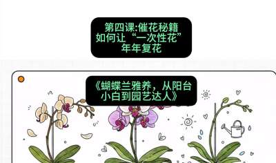 第四节：催花秘籍：如何让&ldquo;一次性花&rdquo;年年复花，课程：《蝴蝶兰雅养六讲：从阳台小白到园艺达人》#识农AI